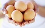 Lựa chọn và bảo quản trứng gà