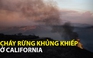 Cháy rừng khủng khiếp ở California