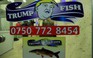 Tỷ phú Donald Trump bán cá ở Iraq?