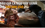 Đấu giá ở Nhật, con cá ngừ 405 kg được giá 7,3 tỉ đồng