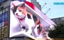 Mèo khổng lồ trên nóc nhà làm xôn xao cư dân Tokyo