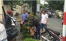 Bắt hai tên cướp giật điện thoại của cô gái trên đường phố Sài Gòn