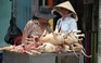 Người Việt Nam ăn thịt chó thứ 2 thế giới với 5 triệu con mỗi năm