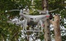 Kiểm lâm Đồng Nai trang bị flycam giám sát voi rừng