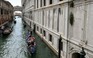 Lo quá tải, Venice thu phí du khách gần 270.000 đồng/người