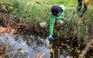 Ô nhiễm thuốc trừ sâu tràn lan nhiều sông ngòi ở châu Âu