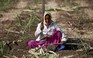 Nông dân Ấn Độ tự tử vì biến đổi khí hậu