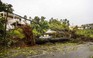 Siêu bão Maria càn quét vùng Caribbean