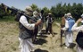 Taliban lần đầu đồng ý ngừng bắn