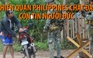 Philippines: Con tin người Đức bị phiến quân sát hại vì sức khỏe kém