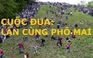 Cuộc đua vui nhộn: lăn cùng phô mai