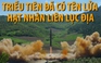 Triều Tiên nói đã có tên lửa hạt nhân liên lục địa