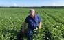 Tổng thống Trump chi 12 tỉ USD hỗ trợ nông dân Mỹ bị chiến tranh thương mại ảnh hưởng