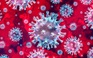 Chuyên gia nói gì về nguồn gốc virus corona gây bệnh Covid-19?