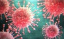 Mỹ xem xét khả năng virus corona bắt nguồn từ phòng thí nghiệm Trung Quốc