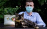 Papille, con mèo đầu tiên nhiễm Covid-19 ở Pháp giờ ra sao?