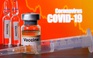 Hơn 568.000 người chết vì Covid-19 toàn cầu, Thái Lan sắp thử nghiệm 10.000 liều vắc xin Covid-19