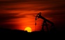 Giá dầu trong năm 2021 sẽ ra sao?