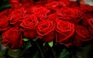 Vì sao ngày Valentine mà cửa hàng hoa Paris khuyên không tặng hoa hồng đỏ?