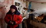 Cụ bà Ukraine sống sót trong chiến sự nhờ đàn gà