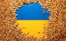 Ukraine muốn điều kiện gì để nối lại xuất khẩu ngũ cốc?
