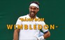 Wimbledon: Fognini bực mình vì phải chờ trọng tài nghe điện thoại