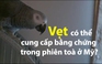 Vẹt có thể cung cấp bằng chứng trong phiên toà ở Mỹ?