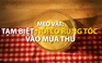 Mẹo vặt: Tạm biệt nỗi lo rụng tóc vào mùa thu