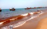Nước biển biến thành màu đỏ tại Quảng Bình do thủy triều đỏ gây ra?