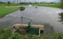Sài Gòn sẽ xây 103 hồ để chống ngập?