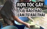 Rợn tóc gáy với cải bắc thảo làm từ rác thải chợ Bình Điền