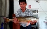 Ngư dân Hà Tĩnh câu được cá nặng 4,5 kg nghi là cá sủ vàng quý hiếm