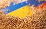 Xung đột ở Ukraine đe doạ an ninh lương thực toàn cầu ra sao?