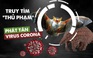 Truy tìm “nghi phạm” phát tán virus corona: Dơi, rắn hay tê tê?