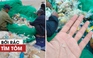 Ngư dân Bình Định bới rác tìm tôm hùm giống