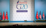 [Video] Mèo chạy chơi trong hội nghị G20 như chốn không người
