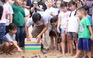 Trẻ em thành phố tập cứu hộ rùa biển