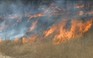 Hàng trăm người sơ tán vì cháy rừng ở California