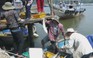 Ngư dân vùng biển Dung Quất “lỗ te tua” vì cá chết hàng loạt
