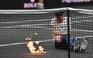 Quần vợt thế giới chấn động vụ tự thiêu trên sân trước trận chia tay Federer