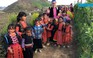 Trẻ em Mộc Châu đổ xô ra đồi chè chụp ảnh với khách du lịch