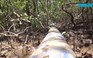 Đột kích hang ổ của “vòi bạch tuộc” đục khoét rừng đặc dụng