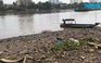 Lại phát hiện thi thể trôi trên sông Sài Gòn