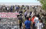 Trồng 2.000 cây mắm ở vùng bãi bồi ven biển Bạc Liêu