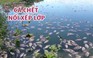 Cá chết nổi xếp lớp tại hồ điều tiết Trung Nghĩa ở Đà Nẵng