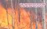 50ha rừng 1-5 năm tuổi của người dân bị cháy rụi, thiệt hại trên 2 tỉ đồng