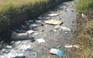 Trước đại dịch corona, người dân lo lắng khi sống cạnh kênh đầy rác, xác động vật