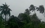Gió mạnh dữ dội ở huyện Đức Phổ (Quảng Ngãi) trong bão số 9