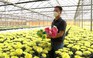 Thăm trang trại hoa lớn nhất Việt Nam những ngày tất bật trước Tết Nhâm Dần