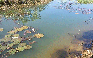Đi bắt ốc ở hồ Suối Giai, 2 học sinh tiểu học đuối nước thương tâm